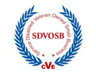 Security Accreditation Badge 3